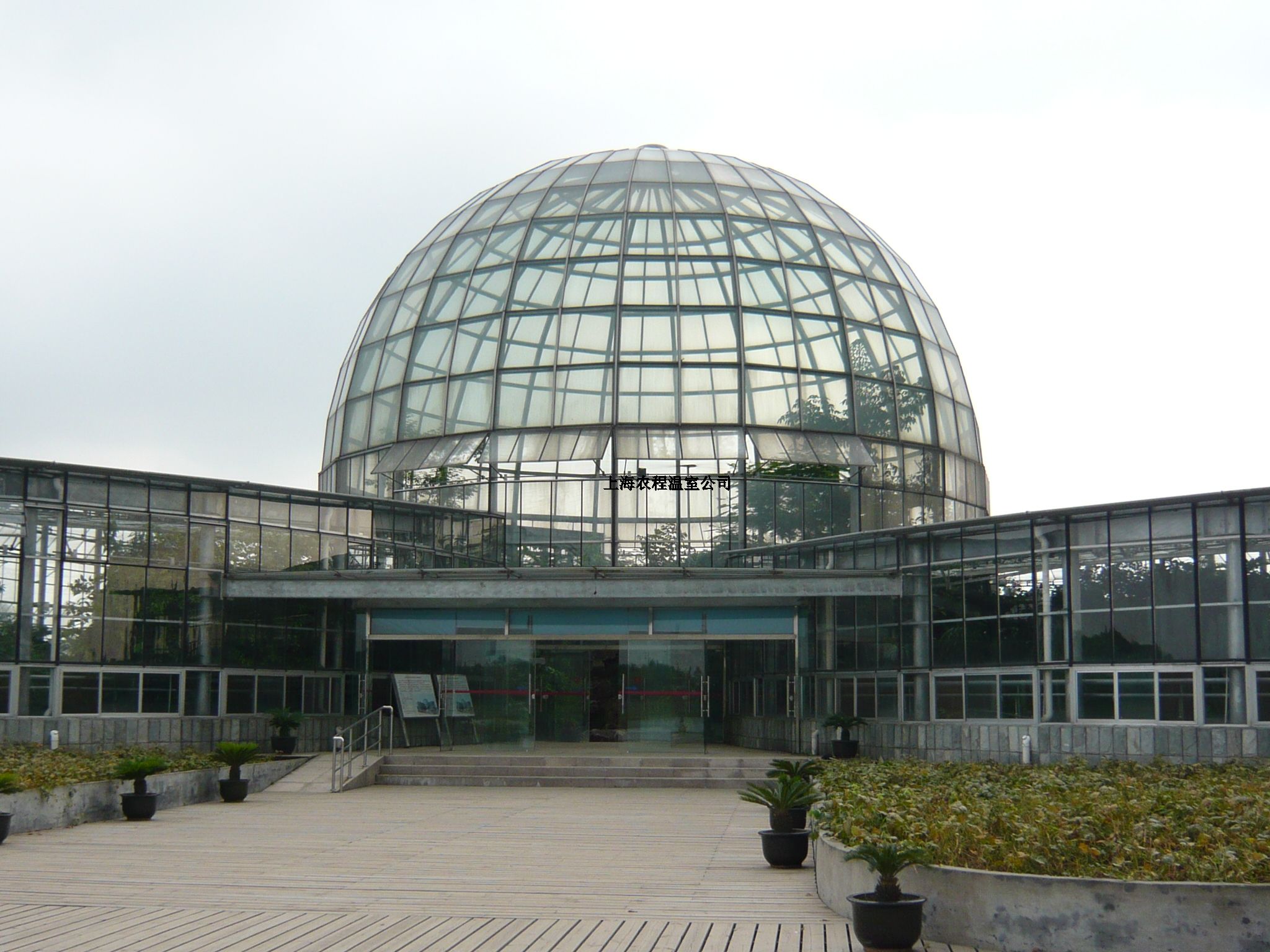 上海四川寡妇搡BBB爽爽爽