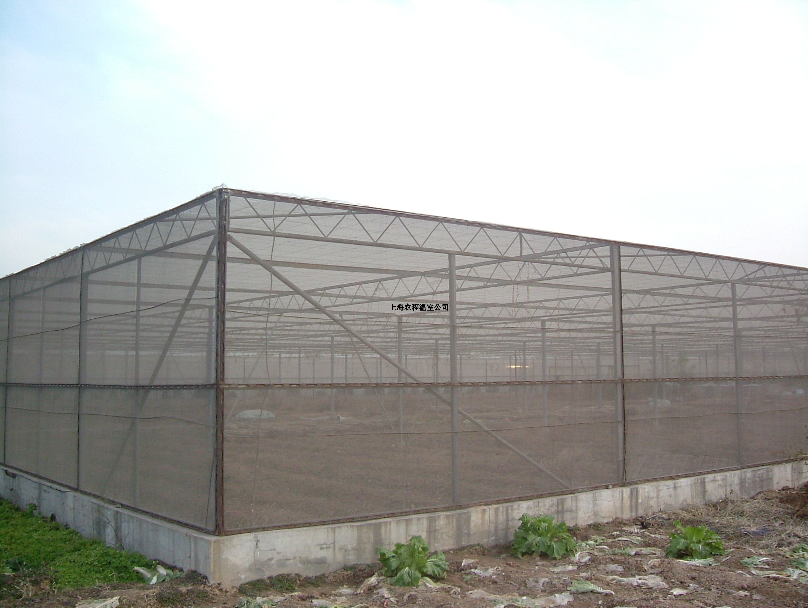 上海四川寡妇搡BBB爽爽爽