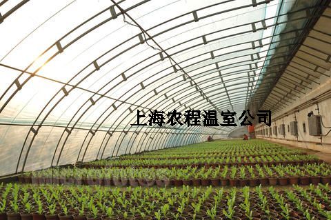 上海農（nóng）程