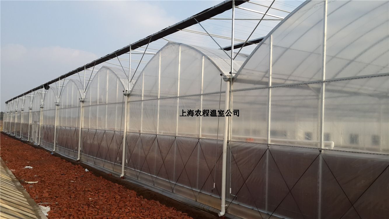 上海四川寡妇搡BBB爽爽爽（chéng）