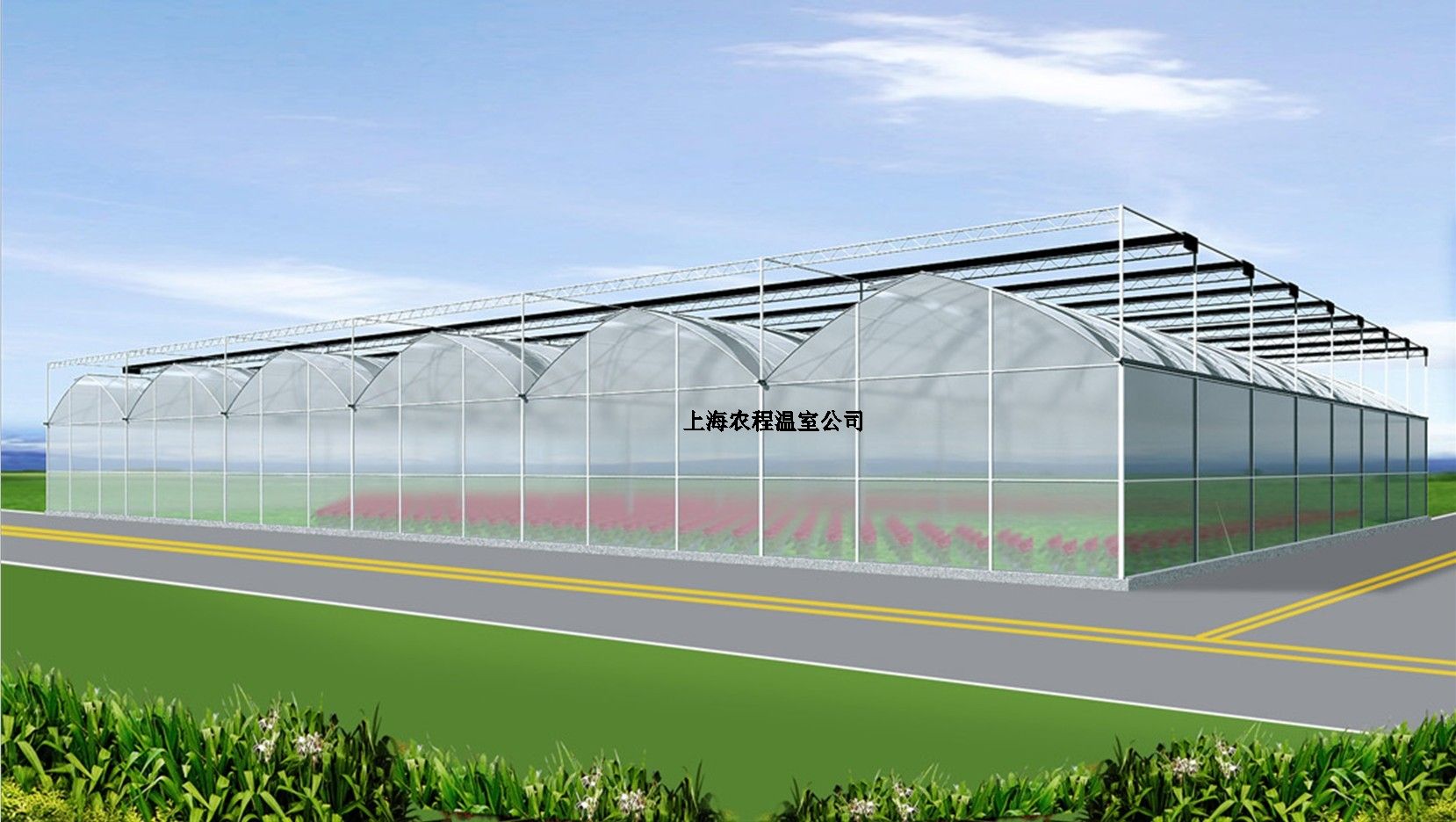 上海四川寡妇搡BBB爽爽爽