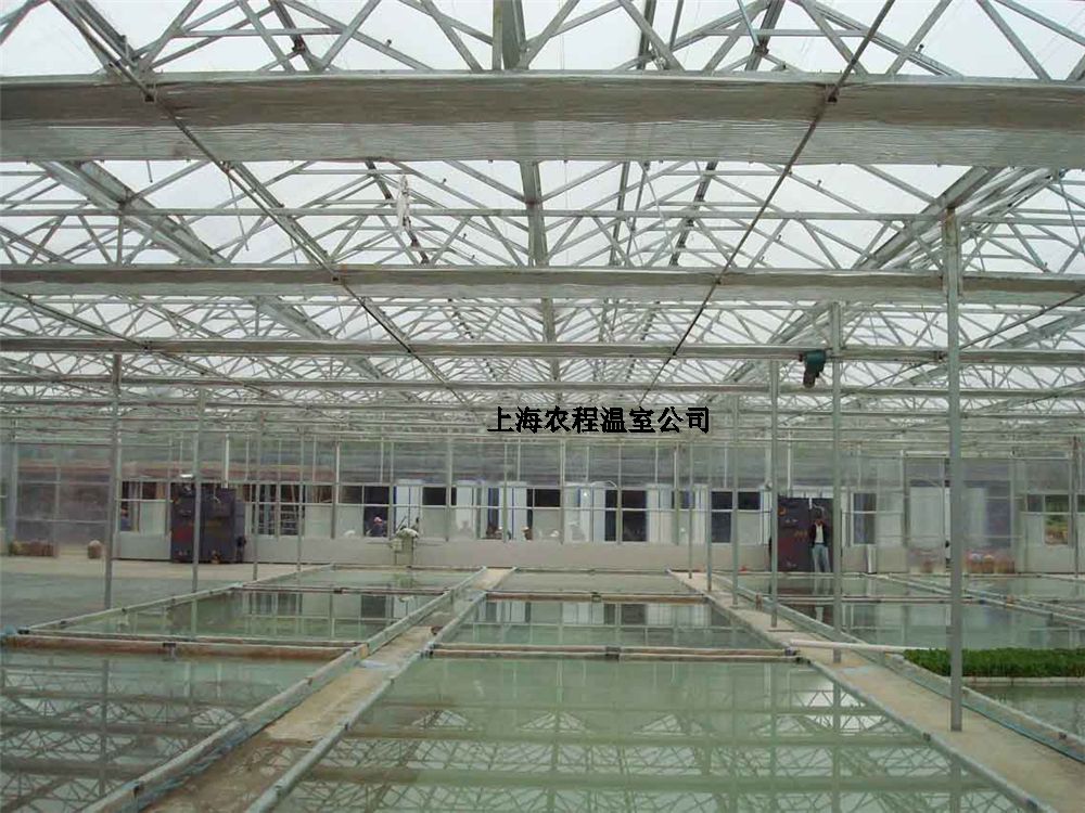 上海四川寡妇搡BBB爽爽爽